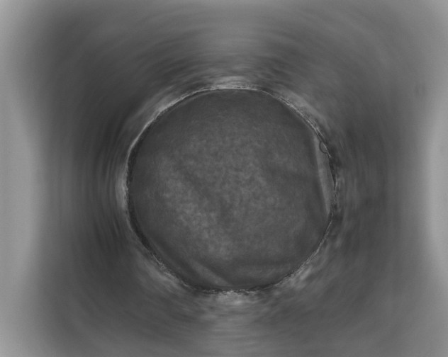 X0000111120290200907141156