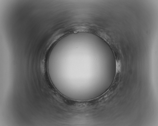 X0000111120291200907141156