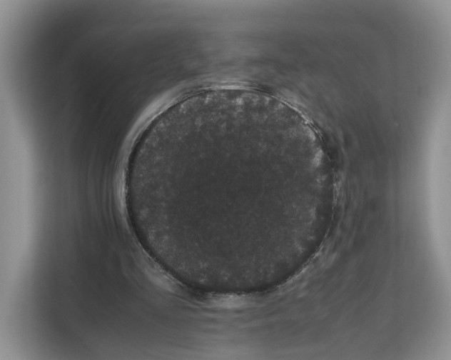 X0000111120293200907141156