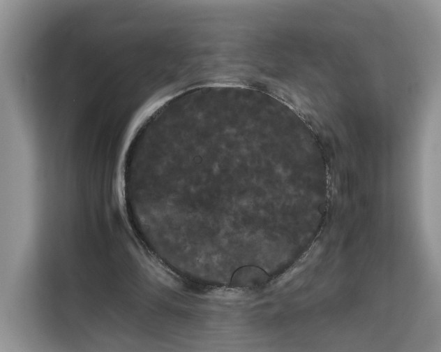 X0000111120294200907141156