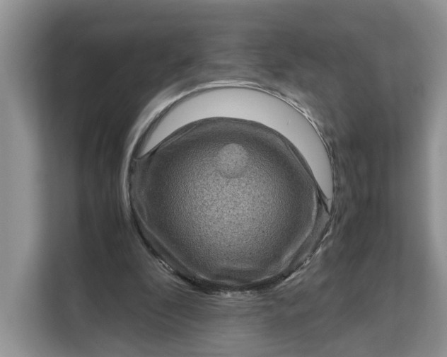 X0000111120296200907141156