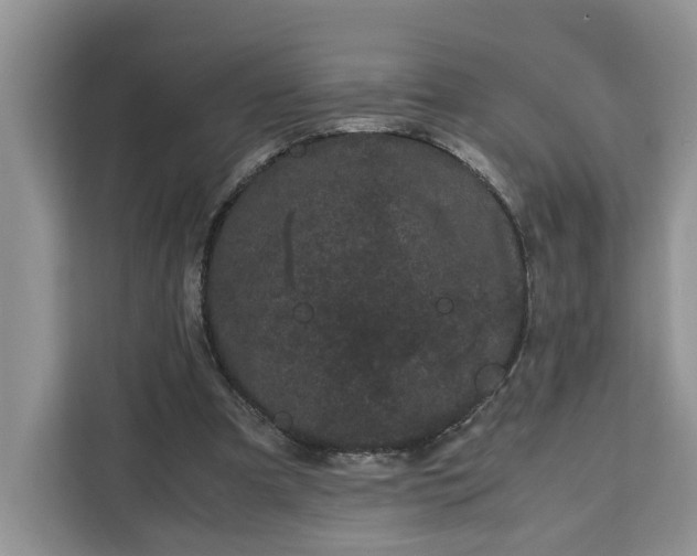 X0000111120297200907141156