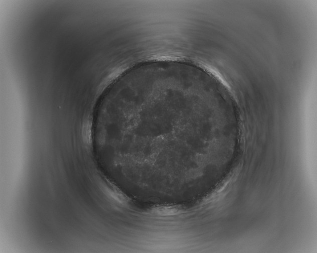 X0000111120299200907141156