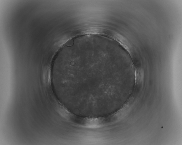 X0000111120301200907141156