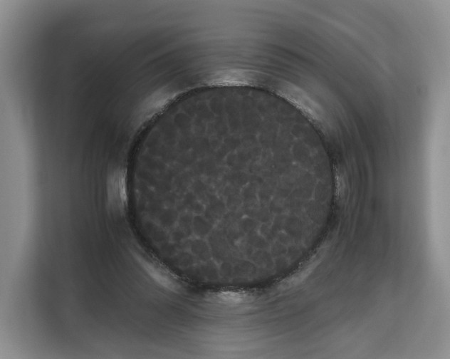 X0000111120302200907141156