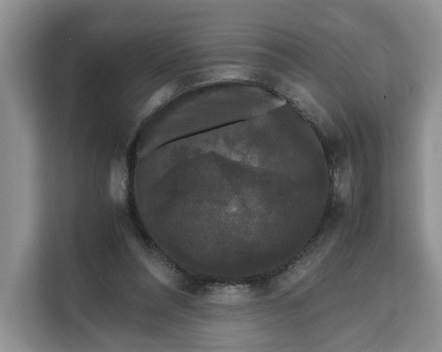 X0000111120304200907141156