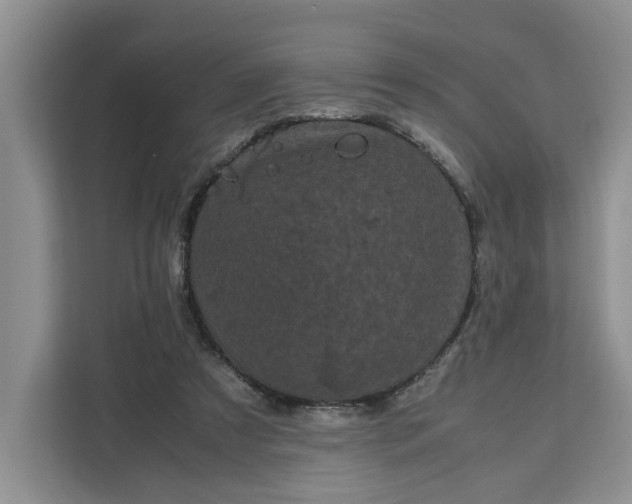 X0000111120305200907141156