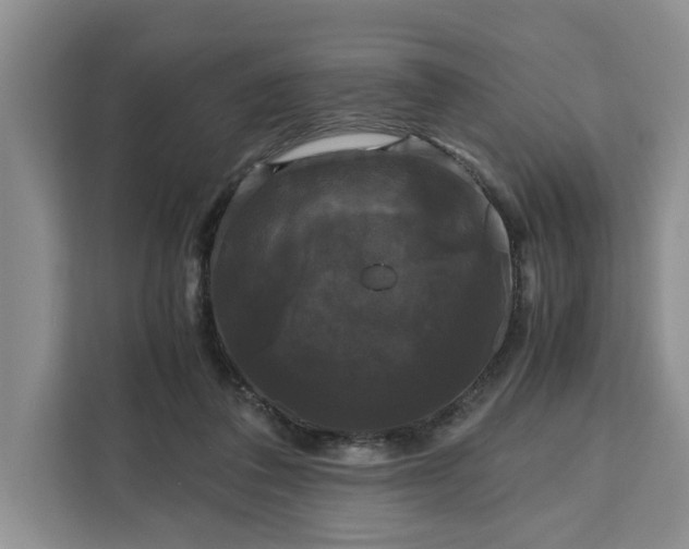 X0000111120308200907141156