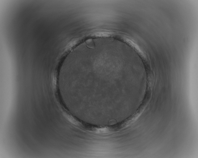 X0000111120309200907141156