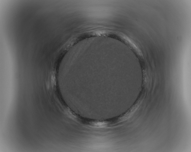 X0000111120313200907141156