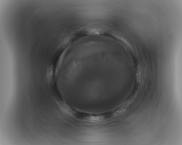 X0000111120314200907141156