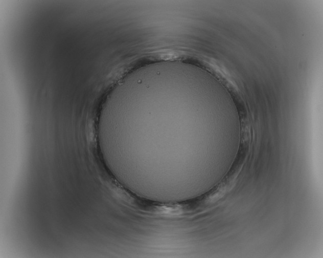 X0000111120317200907141156