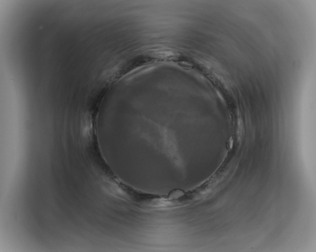 X0000111120320200907141156