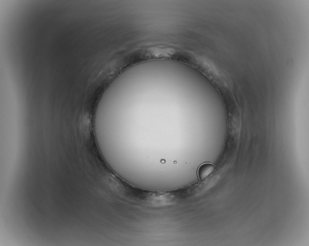 X0000111120321200907141156