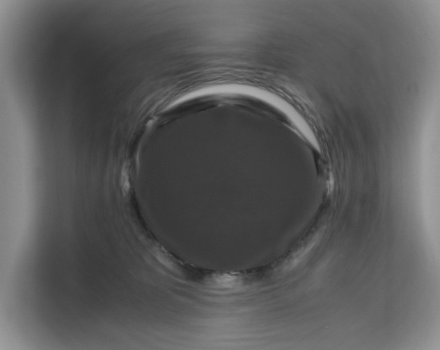 X0000111120325200907141156