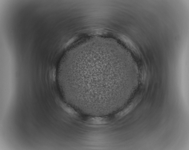 X0000111120326200907141156