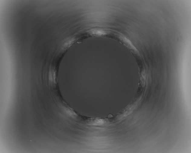 X0000111120330200907141156