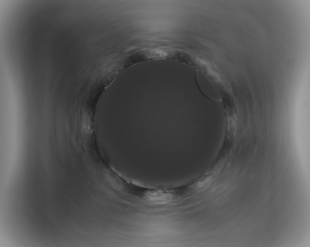 X0000111120331200907141156