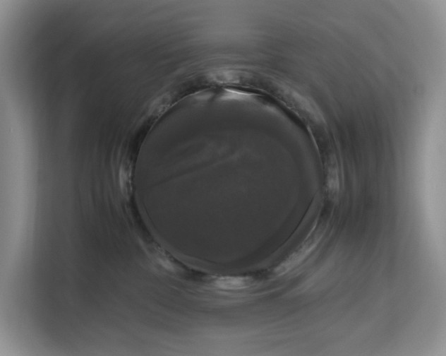 X0000111120332200907141156