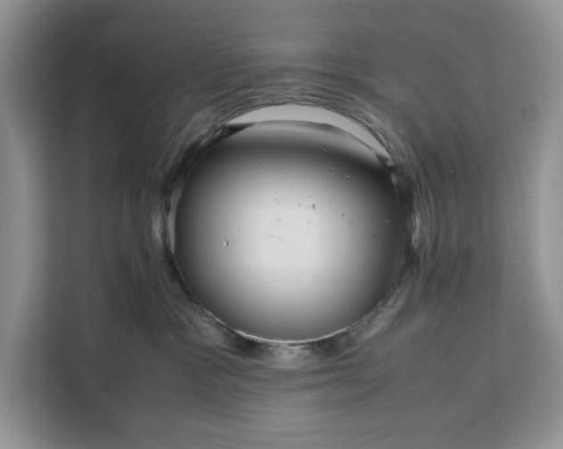 X0000111120333200907141156