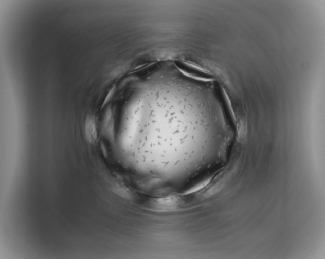 X0000111120335200907141156