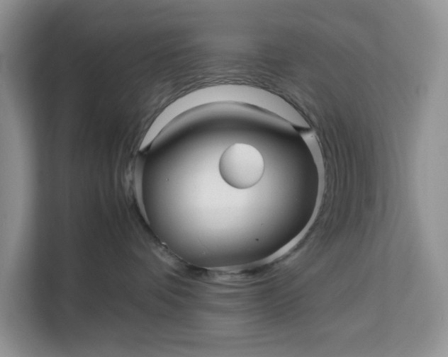 X0000111120336200907141156