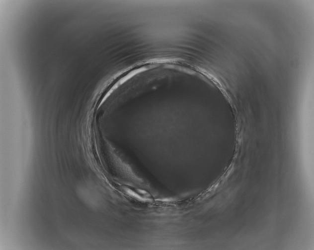 X0000111120337200907141155