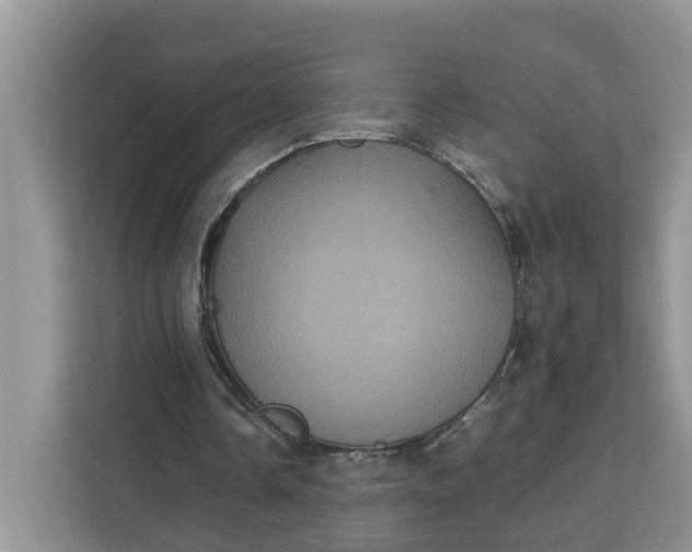 X0000111120338200907141155