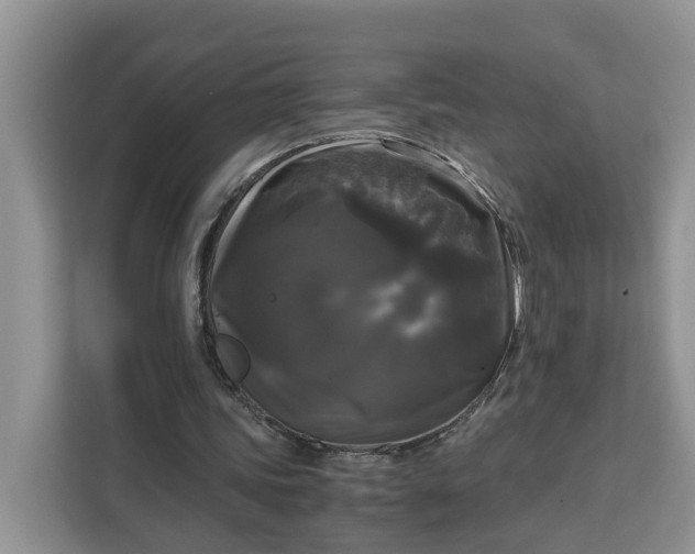 X0000111120339200907141155