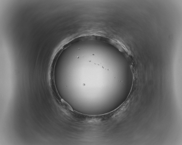 X0000111120340200907141155