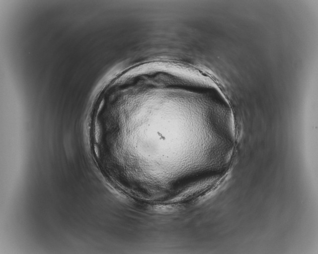 X0000111120341200907141155