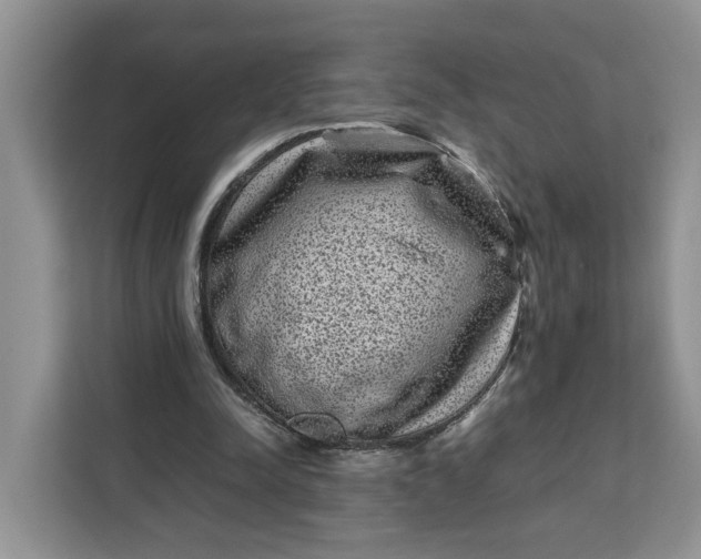 X0000111120342200907141155