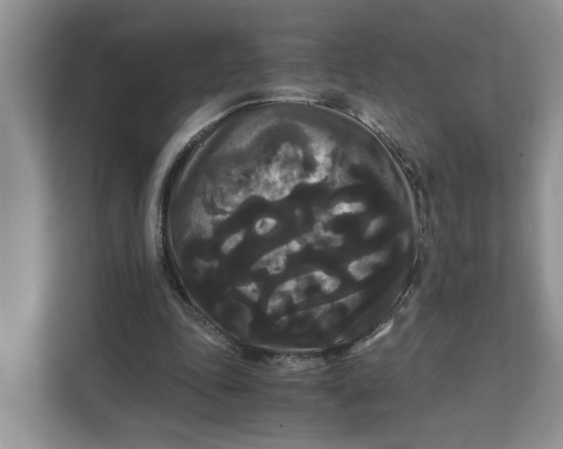 X0000111120343200907141155