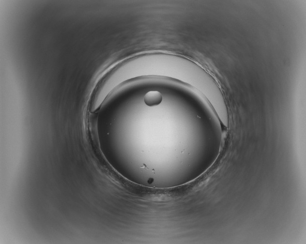 X0000111120344200907141155