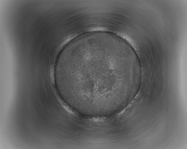 X0000111120345200907141155