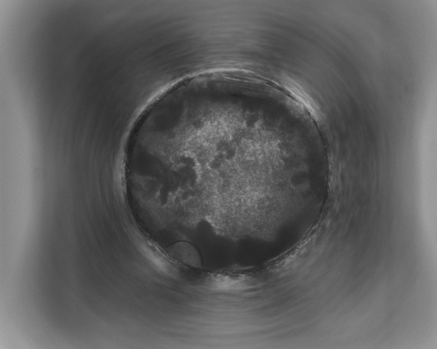 X0000111120346200907141155