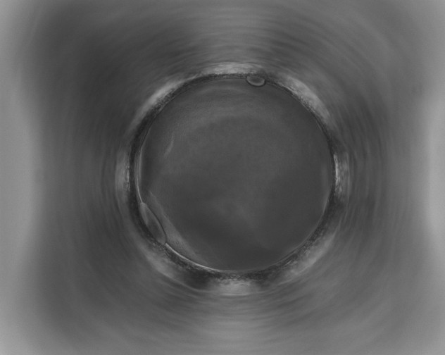 X0000111120348200907141155