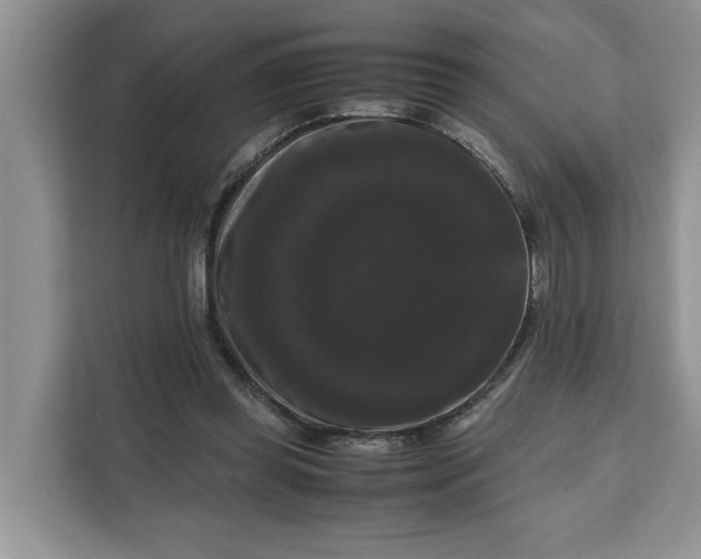 X0000111120349200907141155