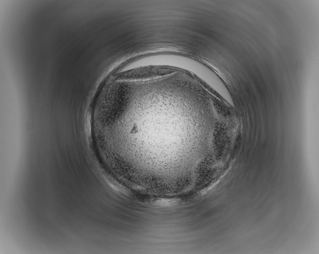 X0000111120350200907141155