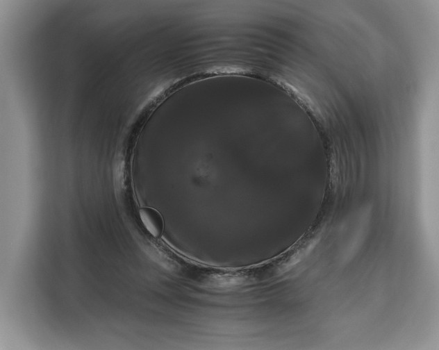 X0000111120351200907141155