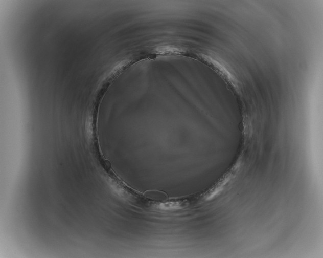 X0000111120353200907141155