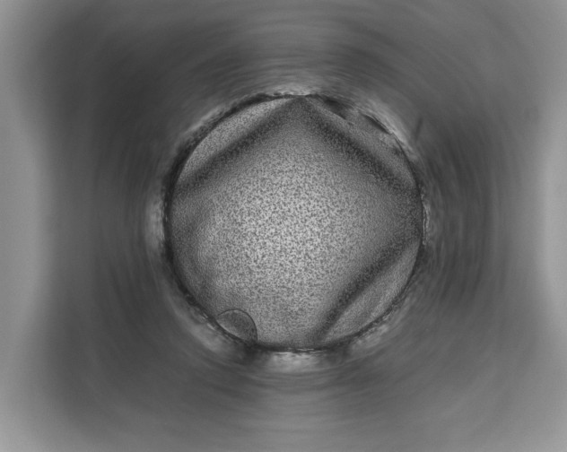 X0000111120354200907141155