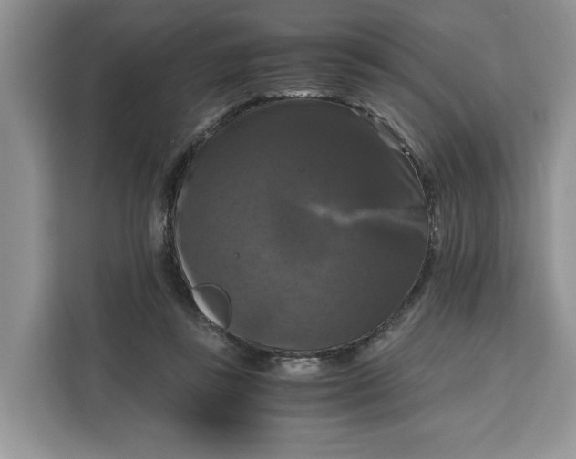 X0000111120355200907141155