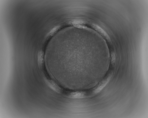 X0000111120356200907141155