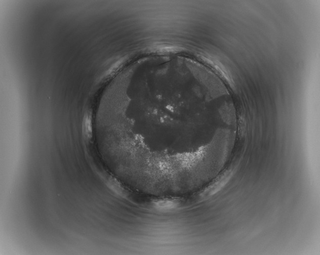 X0000111120358200907141155