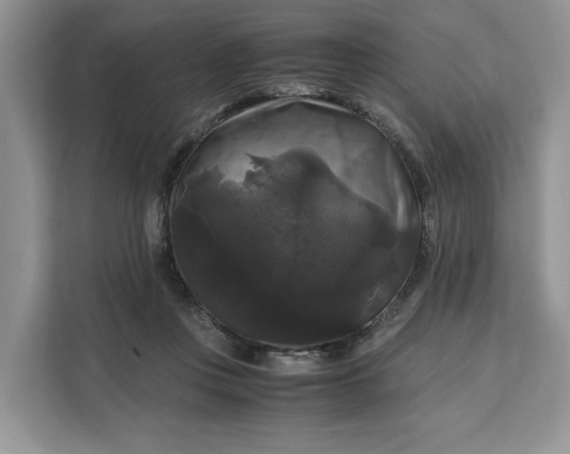 X0000111120359200907141155