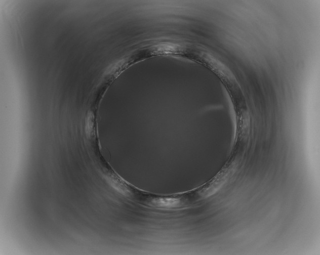 X0000111120361200907141155