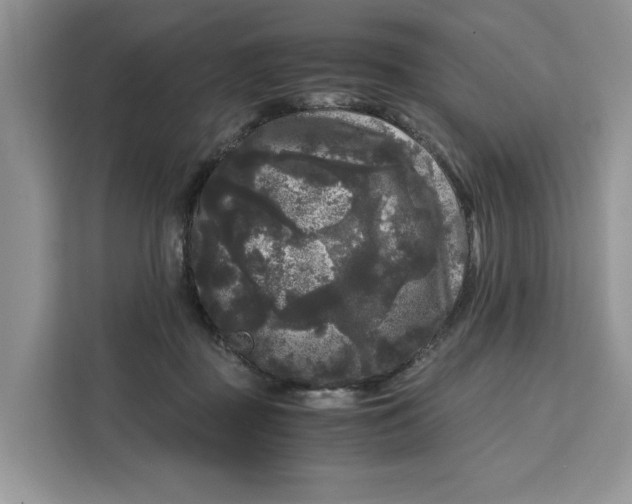 X0000111120363200907141155