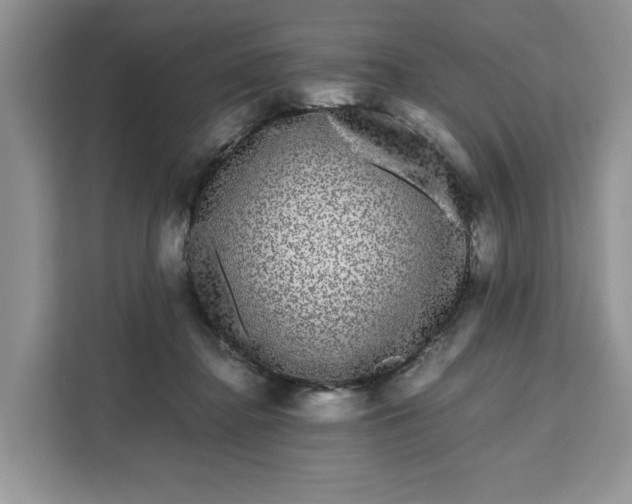 X0000111120364200907141155