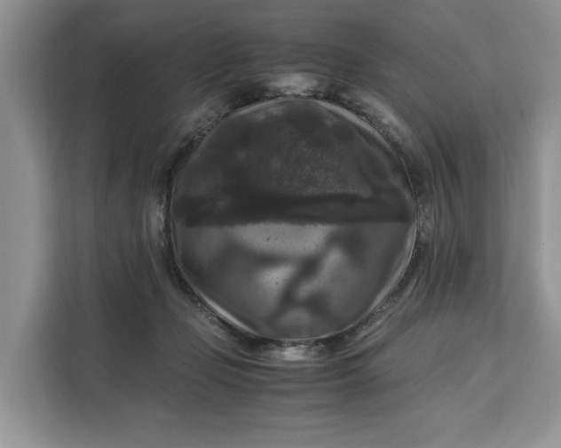 X0000111120365200907141155